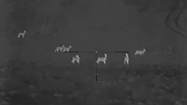 IRay Geni GL35R #iray #infiray #тепловизоры #iraygeni