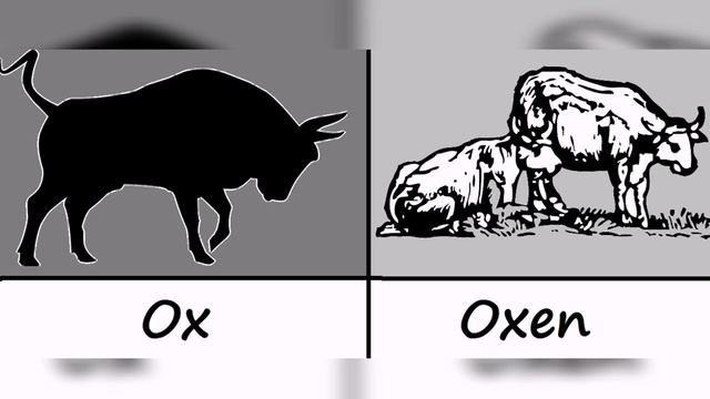 МНОЖЕСТВЕННОЕ ЧИСЛО СУЩЕСТВИТЕЛЬНЫХ - ИСКЛЮЧЕНИЯ _ IRREGULAR PLURAL NOUNS _ ENGLISH GRAMMAR FOR KIDS смотреть онлайн