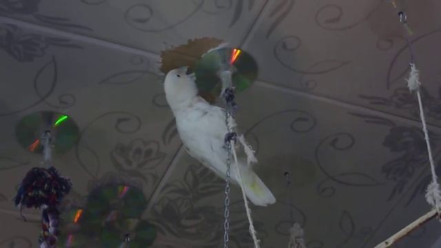 Любимое занятие смотреть онлайн