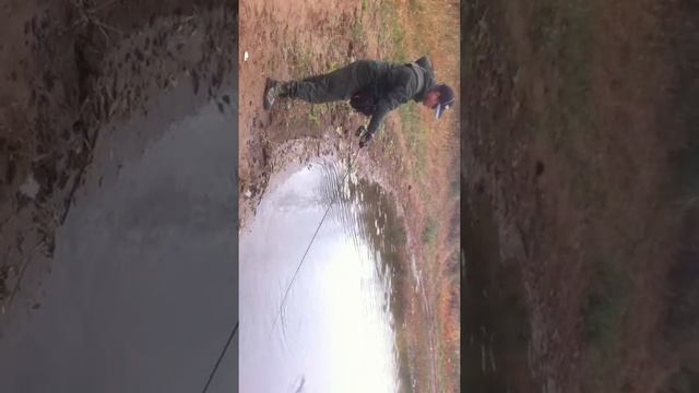 Извиняйте за перевёрнутую съемку! Малый кинель! смотреть онлайн