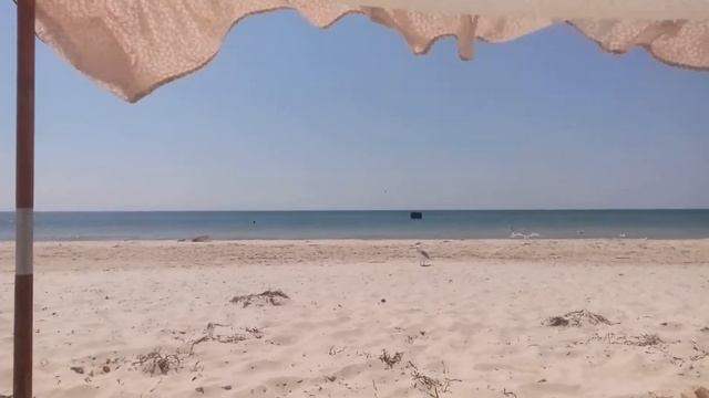 12 матрас улетел смотреть онлайн