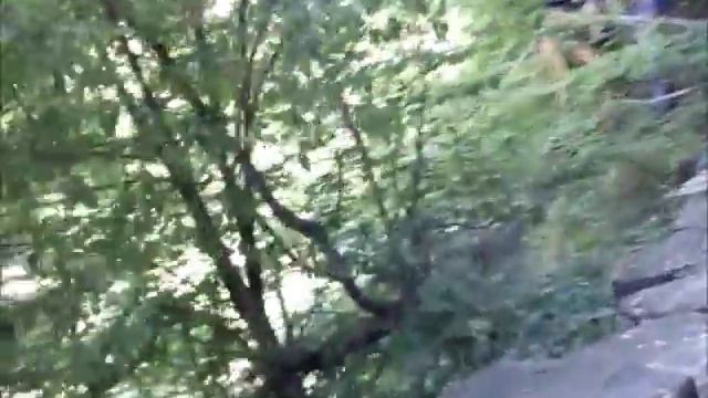 Водопады реки Жане смотреть онлайн