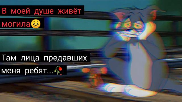 Цитата про жизнь😣❤️ смотреть онлайн
