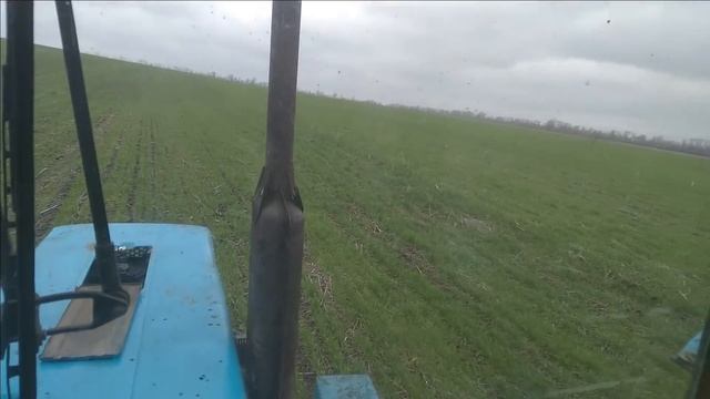 Новые цены на удобрения шокируют!!! Чем подкармливать почву??? смотреть онлайн