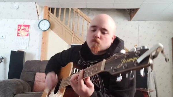Timmy Bobby-Soul Bleed(damageplan acoustic cover)