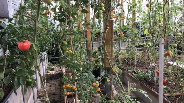 отопление теплицы в межсезонье 17092019 смотреть онлайн