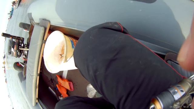 Кому салаку, а кто и треску ловит :) смотреть онлайн