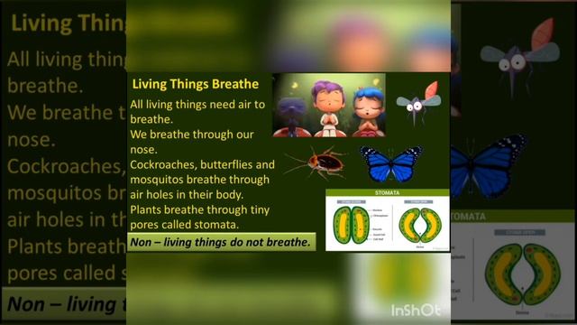 Grade - 3 | Living and Non living things | Science | LPS смотреть онлайн