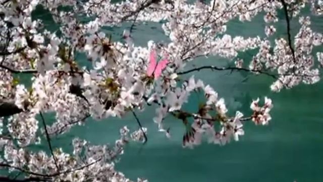 СЛАВЯНЕ смотреть онлайн