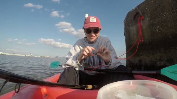 Using small Fish to Catch BIG FISH! Live-Line Tutorial!