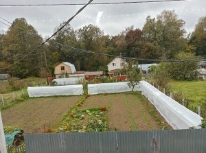 ВИНОГРАДНАЯ ШПАЛЕРА. Укрытие виноградной лозы.