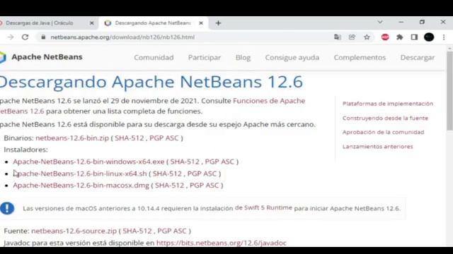 ✔ INSTALACION DE NETBEANS Y JDK JAVA ☕ (2022) ? смотреть онлайн