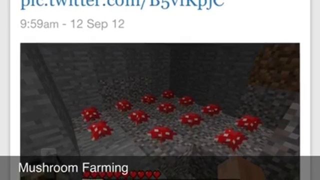 0.5.0 Minecraft Pocket Edition Update Video