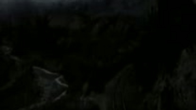 Pub Nescafe 1981 (Loco Au Perou Et Rodolfo Y Su Tipica La Co