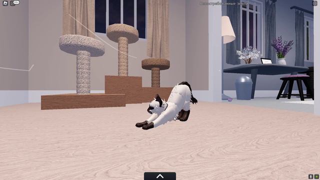 Мда...Видео с голосом😊😜 как сделать сиамского кота😼 в коты воители смотреть онлайн