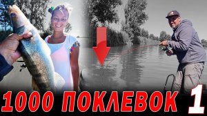 1000 поклевок Астрахань СДАЮ ВСЕ ТОЧКИ рыбалка с каждого ЗАБРОСА часть 1