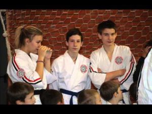 Косики каратэ России. Федерация: Чемпионат ЦФО 2015 г.