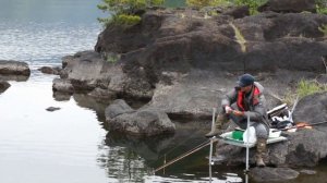 Херабуна в Японии, Озеро Кавагучи ,7 мая 2016