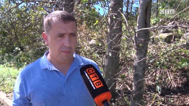 Как Славянка справляется с последствиями разгула тайфуна Майсак смотреть онлайн