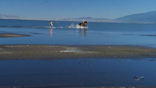 Игорь Кандур и Ольга Сердцева Летнее Disco - Летнее диско смотреть онлайн