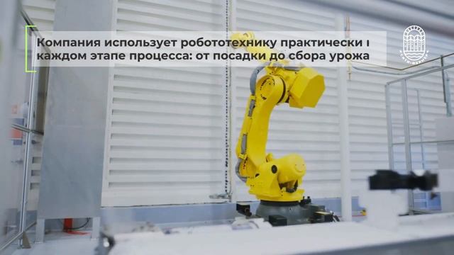 Вертикальная ферма с двухэтажными грядками?!