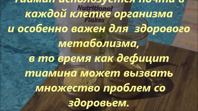 Кулинарные Приключения по Всему Миру