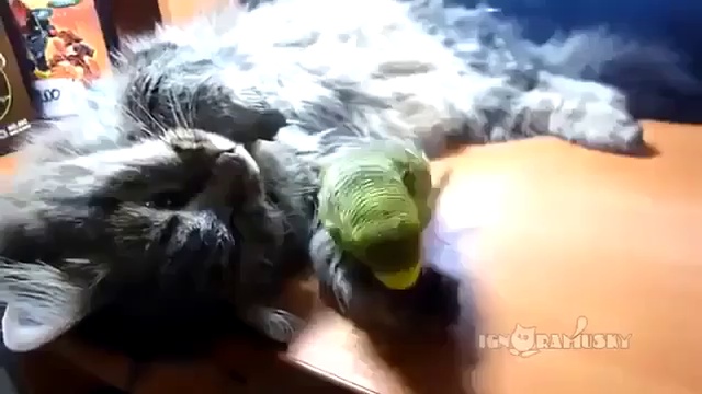 Дай мне поспать смотреть онлайн