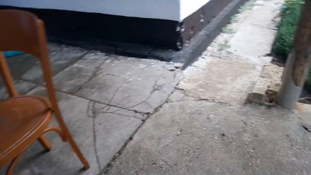 Обзор на мои ролики смотреть онлайн