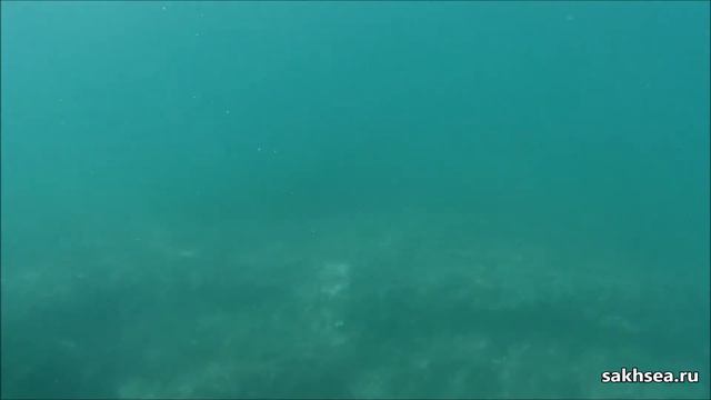 о. Сахалин, г. Невельск смотреть онлайн