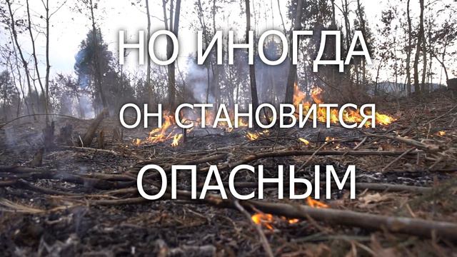 ОГОНЬ ДРУГ ИЛИ ВРАГ смотреть онлайн