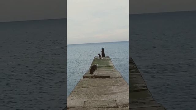 Архипо-Осиповка 1 марта 2024 года ? Обстановка на утро ? Видео из YouTube от «Денис Архипка travel смотреть онлайн