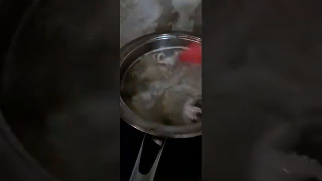 Как готовить Креветки и кальмары с макароном смотреть онлайн