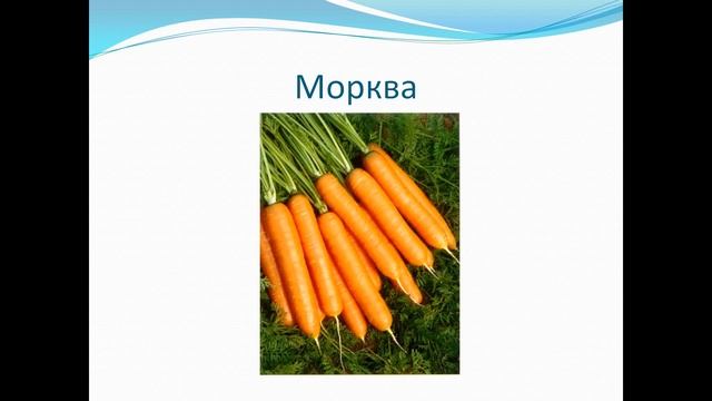 Сільськогосподарські рослини-біологія 6 клас смотреть онлайн