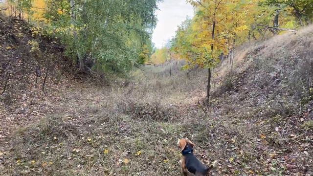 Старое стрельбище в/ч 28042 Сергеевка, Самарская область смотреть онлайн