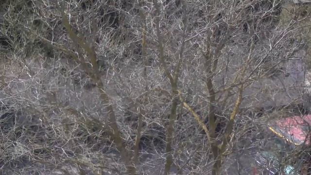 КРЫМ - ЕВПАТОРИЯ РЕМОНТ ДОРОГИ 6 АПРЕЛЯ 2022. НАКОНЕЦ ТО ДОЖДАЛИСЬ. смотреть онлайн