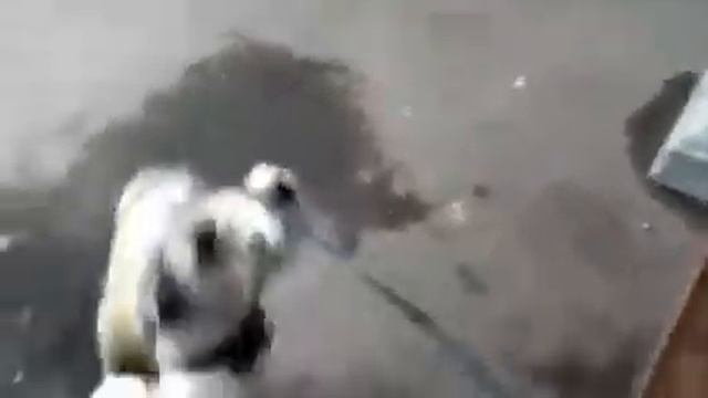 Дружба? смотреть онлайн