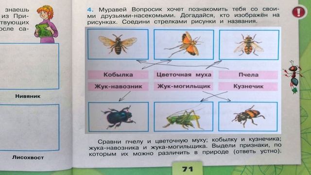 Окружающий мир. Рабочая тетрадь 4 класс 1 часть. ГДЗ стр. 71 №4