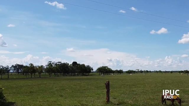 EL LLANO LE CANTA A CRISTO