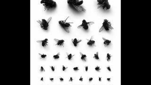 экстрасенс смотреть онлайн