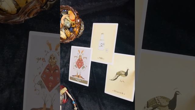 November 3, 2023 crone wisdom from the Literary Witches deck ? Maria Sabina смотреть онлайн
