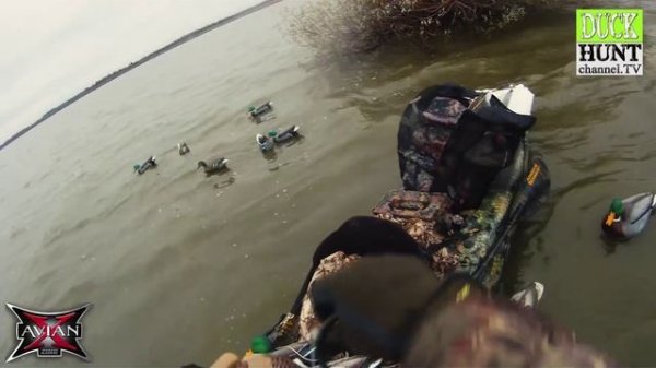 [ОБЗОР] самых дорогих утиных чучел.Avian-X decoys Mallards