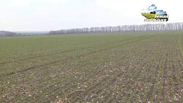 Применение биоудобрения Биокомплекс БТУ почвенного БиоNPK в”Умань Агро” смотреть онлайн