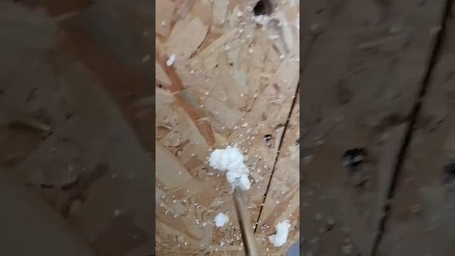 Пропенивание стыков СИП-панелей