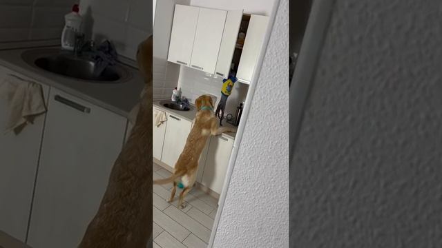 С поличным... смотреть онлайн