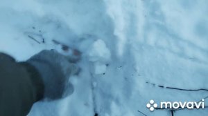 Один зимний день промысла на соболя (Якутия)