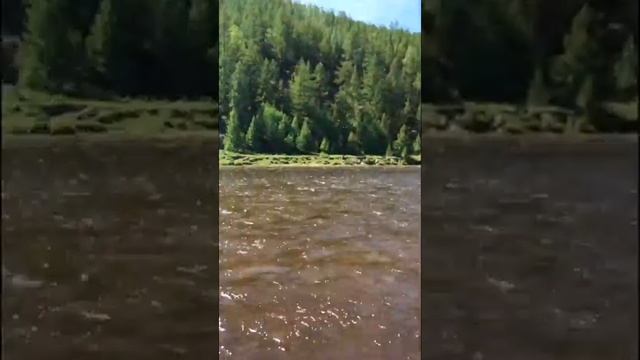 Ока Орлик Аэролодка смотреть онлайн