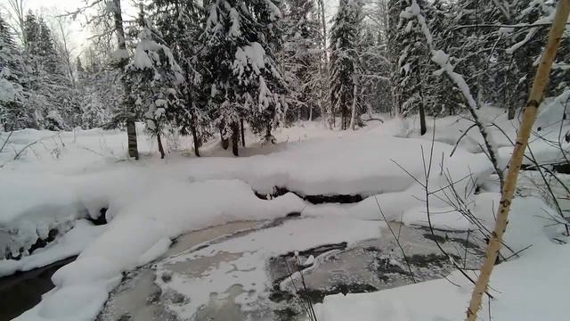 Теплый ХМАО-Югра 23.01.2022 смотреть онлайн