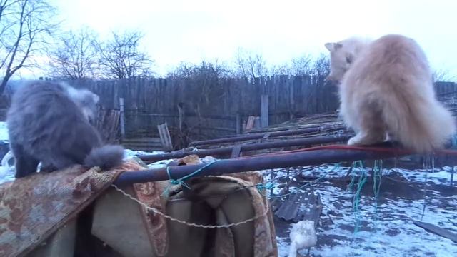 Инопланетяне смотреть онлайн