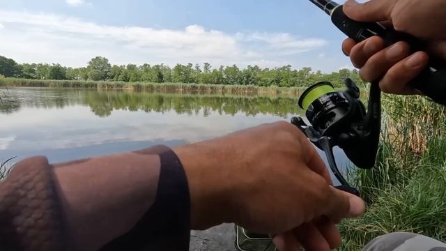 Карась на фидер! Секреты ловли на дикаре