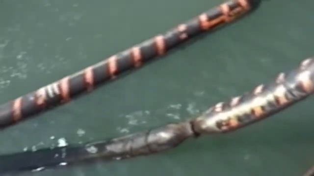 "KALIOPE'S AFRICAN ODYSSEY" by ALCKACH PICTURES Part 10 смотреть онлайн